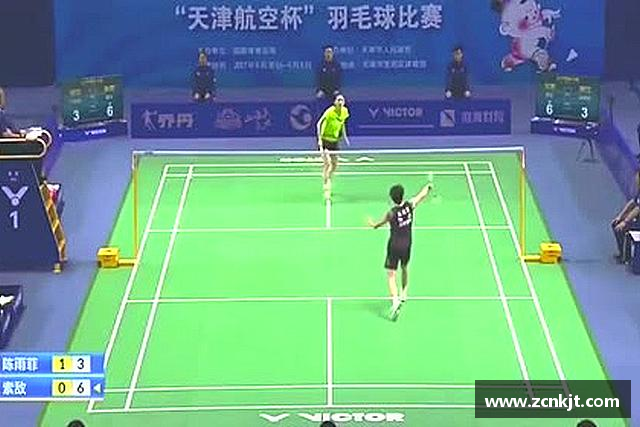 解读熊猫体育在线登录